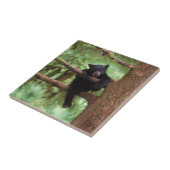 黒熊、アメリカアカネ、木に生えた子熊 タイル (側面)