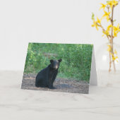 黒熊 カード (黄色い花)