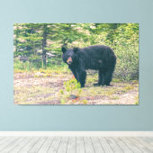 黒熊 キャンバスプリント (インサイチュ (ウッドフロア))