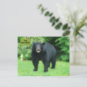 黒熊 – "キュービーフリーベアハグ！" ポストカード (スタンド正面)