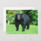 黒熊 – "キュービーフリーベアハグ！" ポストカード (正面/裏面)