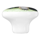 黒熊 – "キュービー"セラミックノブ セラミックノブ (側面)