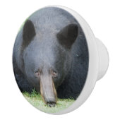 黒熊 – "キュービー"セラミックノブ セラミックノブ (右)