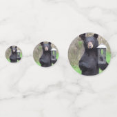 黒熊 コンフェッティ (裏面)