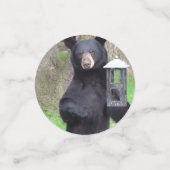 黒熊 コンフェッティ (スモール正面)