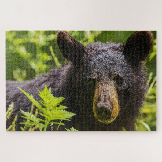 黒熊。 ジグソーパズル (横)