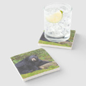 黒熊 ストーンコースター (横)