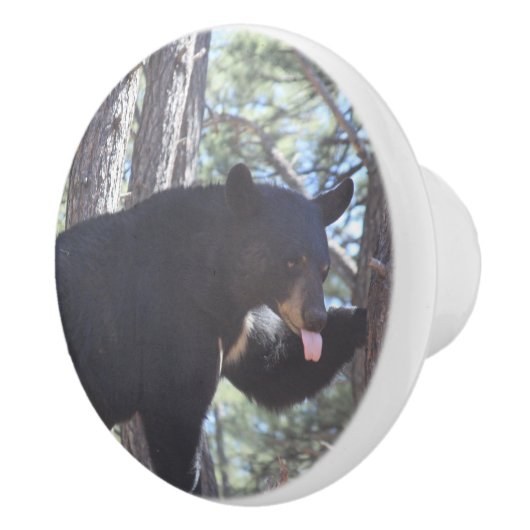 黒熊 セラミックノブ (右)