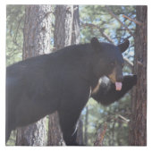 黒熊 タイル (正面)