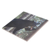 黒熊 タイル (側面)