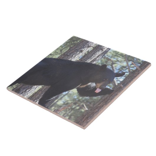 黒熊 タイル (側面)