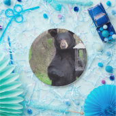 黒熊 ペーパープレート (パーティー)