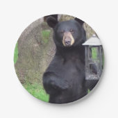 黒熊 ペーパープレート (正面)