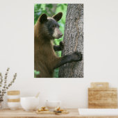 黒熊 ポスター (キッチン)