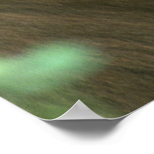 黒熊 ポスター (角)