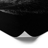 黒熊。 ポスター (角)