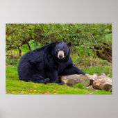 黒熊 ポスター (正面)