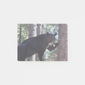 黒熊 ポストイット (正面)