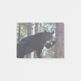 黒熊 ポストイット