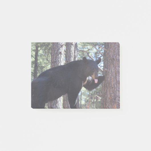 黒熊 ポストイット (正面)