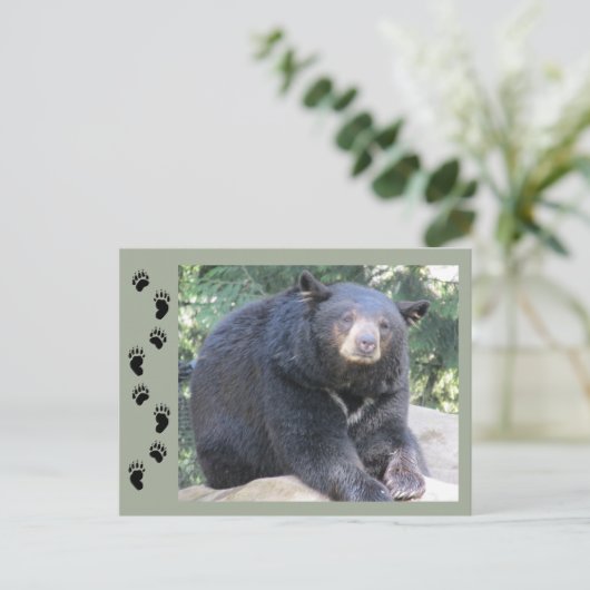 黒熊 ポストカード (スタンド正面)