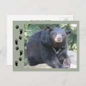 黒熊 ポストカード (正面/裏面)