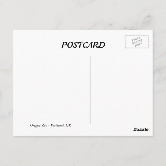 黒熊 ポストカード (裏面)