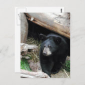 黒熊 ポストカード (正面/裏面)