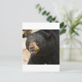 黒熊 ポストカード (スタンド正面)