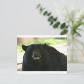 黒熊 ポストカード (スタンド正面)