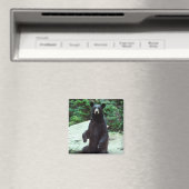 黒熊 マグネット (インサイチュ (食洗機))