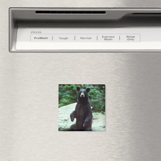 黒熊 マグネット (インサイチュ (食洗機))