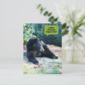 黒熊 – 「今日は考え幸せになるだけだよ！ ポストカード (スタンド正面)