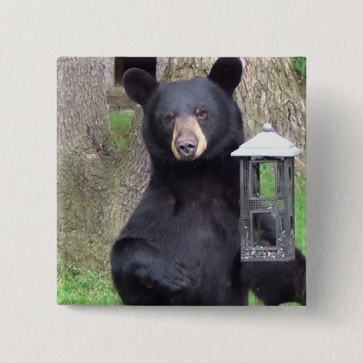 黒熊 缶バッジ (正面)