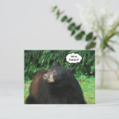 黒熊 – "誰が養殖を？" ポストカード (スタンド正面)