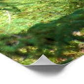 黒熊「香り」 ポスター (角)