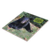 黒熊 – 黙ってあなたの文法を修正している タイル (側面)