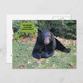 黒熊 – 「黙ってあなたの文法を修正している」 ポストカード (正面/裏面)