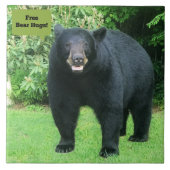 黒熊 – "Free Bear Hugs-Cubby the Black Bear" タイル (正面)