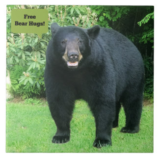 黒熊 – "Free Bear Hugs-Cubby the Black Bear" タイル