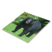 黒熊 – "Free Bear Hugs-Cubby the Black Bear" タイル (側面)