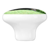 黒熊 – "Hello Cubby"セラミックノブ セラミックノブ (側面)