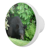 黒熊 – "Hello Cubby"セラミックノブ セラミックノブ (右)