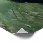 黒熱狂する猫 ポスター (角)