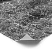 黒牛と白牛が有刺鉄線の背後で放牧16x2 ポスター (角)