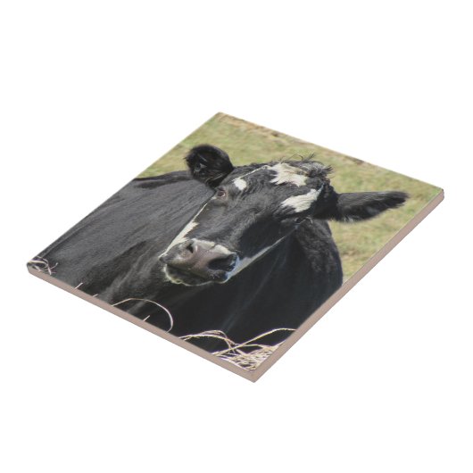 黒牛 タイル (側面)