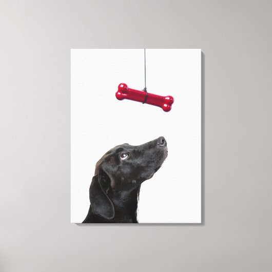 黒犬と赤い犬の骨を混ぜた犬 キャンバスプリント (正面)
