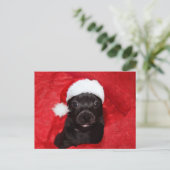 黒犬のクリスマス シーズンポストカード (スタンド正面)