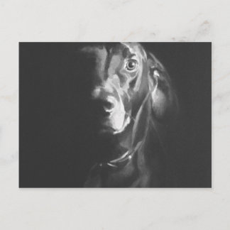 黒犬の水彩画ポール・ジャクソン ポストカード