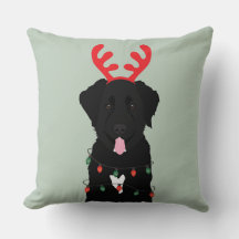 黒犬トナカイのクリスマスライト